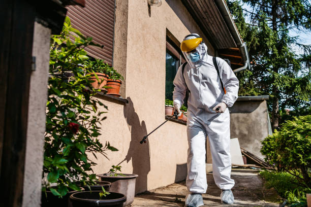 Best Rat Extermination Near Me  in Sperry, OK