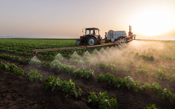 Pest Prevention Services in Sperry, OK