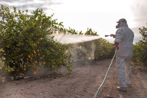 Reliable Sperry, OK Pest Control Solutions