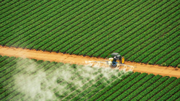 Best Best Pest Control Companies  in Sperry, OK