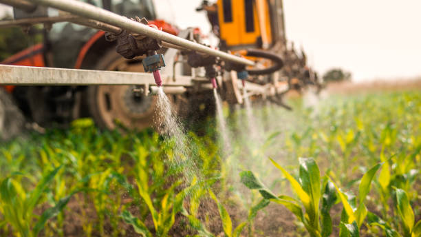 Best Ant Control Services  in Sperry, OK